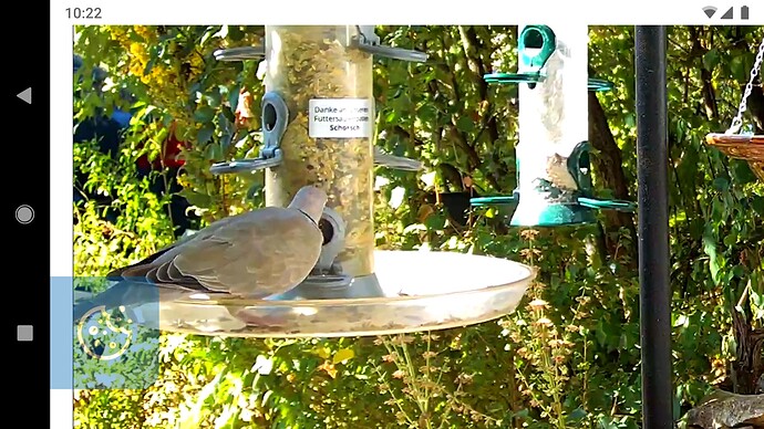 Screenshot_20220809-102249