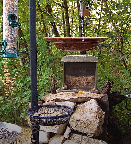 Snap_2022.08.21_08h41m25s_006_