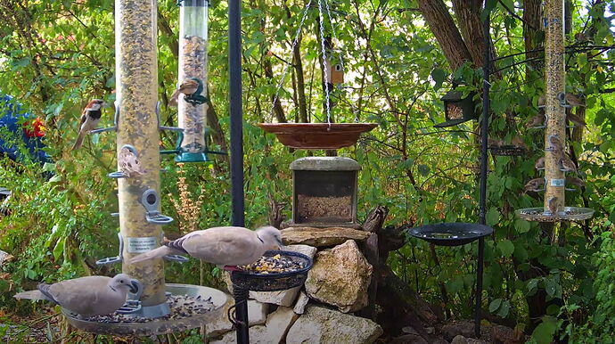 Snap_2022.08.19_16h17m56s_005_