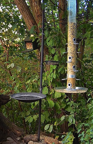 Screenshot_20220813-081617_Chrome