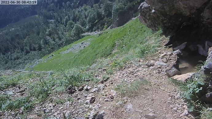 Snap_2022.06.30_08h42m46s_011_