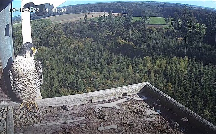 Snap_2022.10.03_15h49m02s_003_