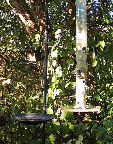 Snap_2022.08.16_08h38m02s_001_