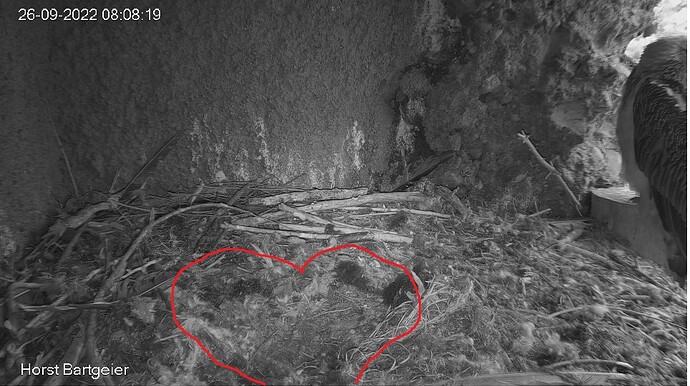 Snap_2022.09.26_08h09m05s_003_