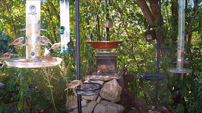 Snap_2022.08.09_13h04m48s_005_