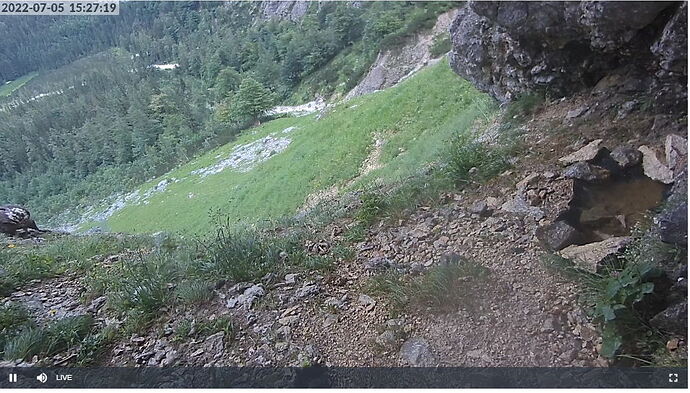 Snap_2022.07.05_15h27m46s_036_