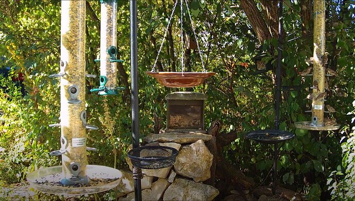 Snap_2022.08.11_10h38m30s_007_