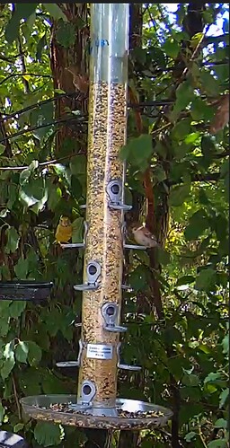 Screenshot_20220806-122910_Samsung Internet