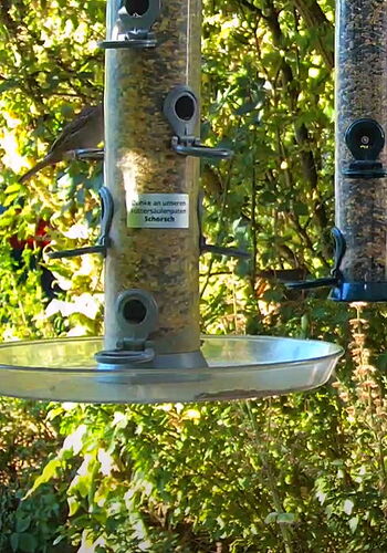 Snap_2022.08.10_09h02m18s_006_