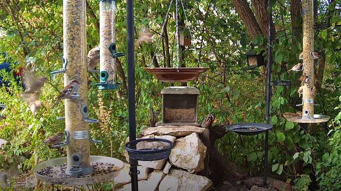 Snap_2022.08.18_09h44m22s_004_