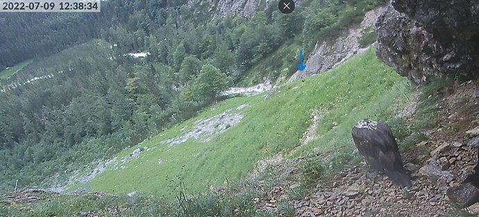 Snap_2022.07.09_12h39m04s_025_