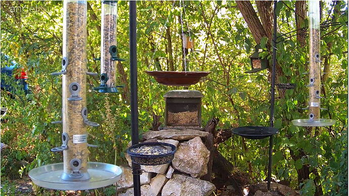 Snap_2022.08.12_16h19m48s_005_