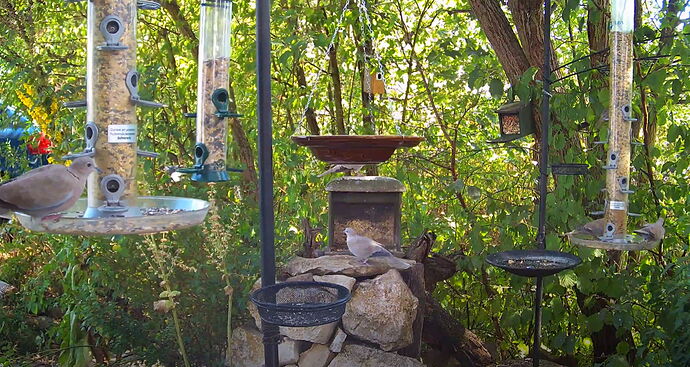 Snap_2022.08.05_16h19m55s_017_