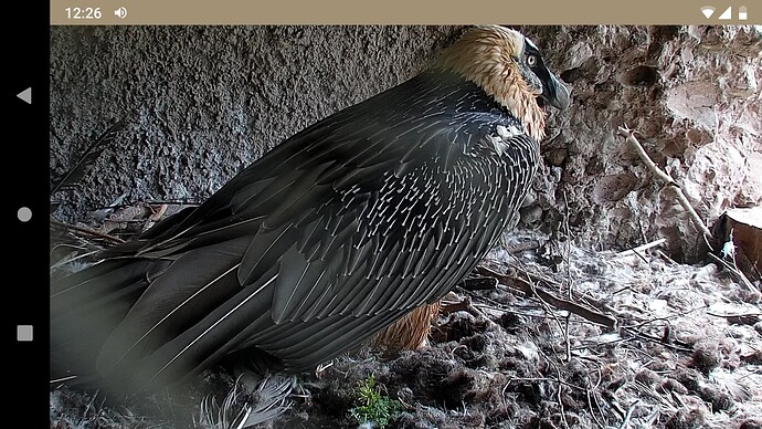 Screenshot_20221013-122642