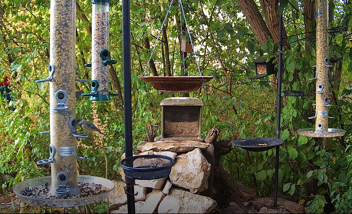 Snap_2022.08.18_06h47m39s_002_