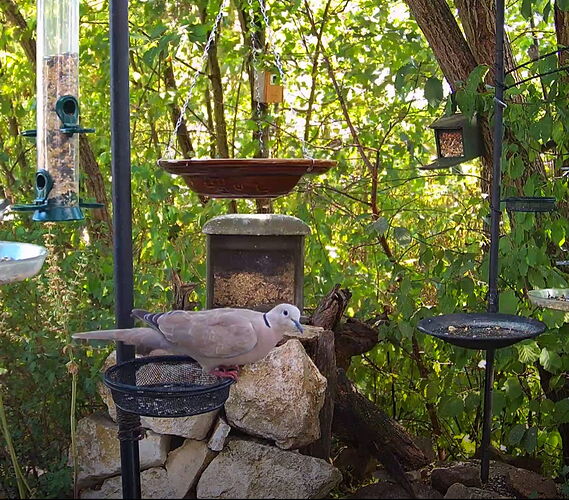 Snap_2022.08.05_16h17m10s_016_