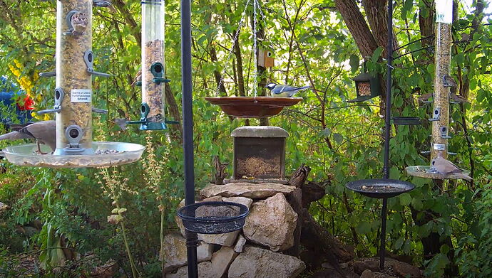 Snap_2022.08.05_16h16m57s_015_