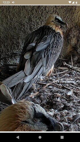 Screenshot_20220707-122312