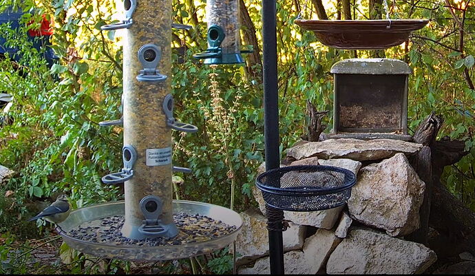 Snap_2022.08.11_07h19m36s_001_