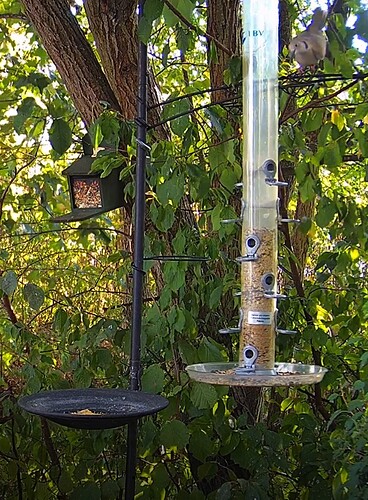 Screenshot_20220815-181829_Samsung Internet