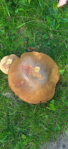 WhatsApp Image 2022-09-02 at 13.41.57