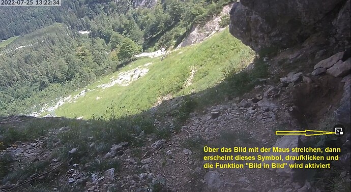 BildinBild