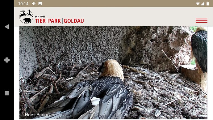 Screenshot_20220925-101429