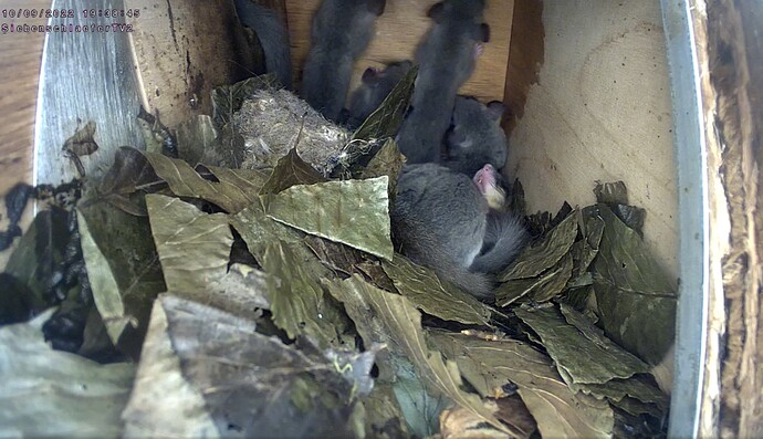 Screenshot_20220910-194040_Chrome