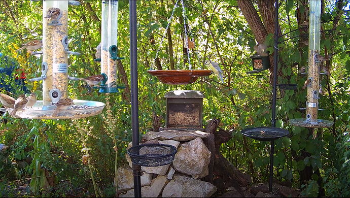 Snap_2022.08.07_13h25m58s_014_