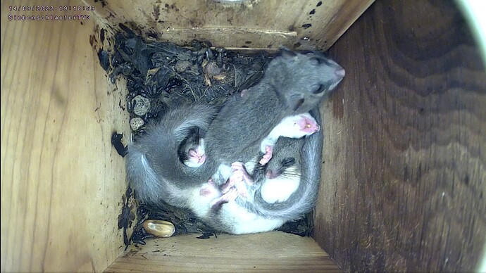 Screenshot_20220914-192007_Chrome