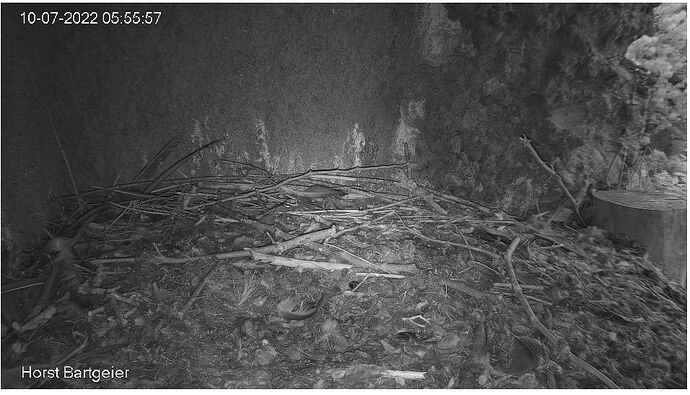 Snap_2022.07.10_05h56m42s_006_