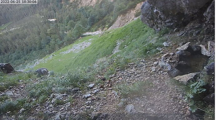 Snap_2022.06.25_18h30m41s_025_