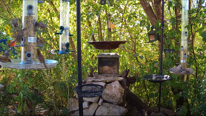 Snap_2022.08.08_15h31m10s_014_