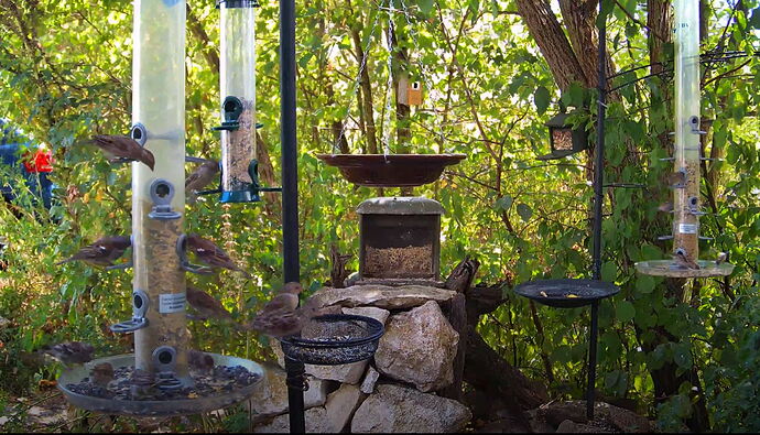 Snap_2022.08.15_15h50m17s_007_