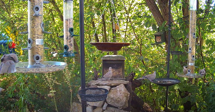 Snap_2022.08.05_16h20m08s_018_