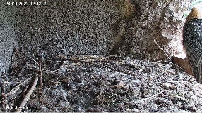 Snap_2022.09.24_12h13m15s_001_