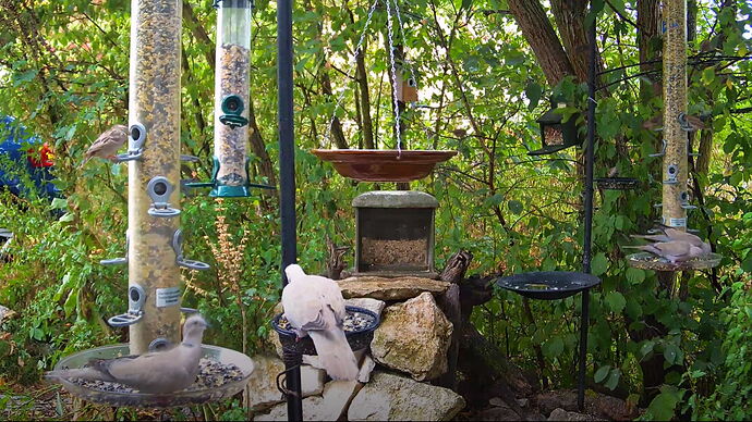 Snap_2022.08.19_16h19m48s_006_