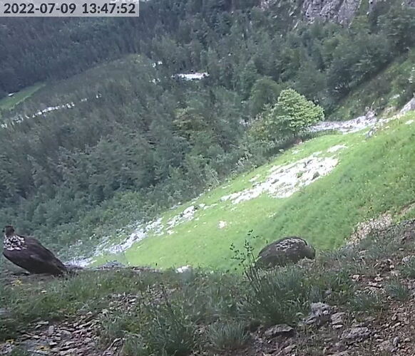 Snap_2022.07.09_13h48m18s_032_