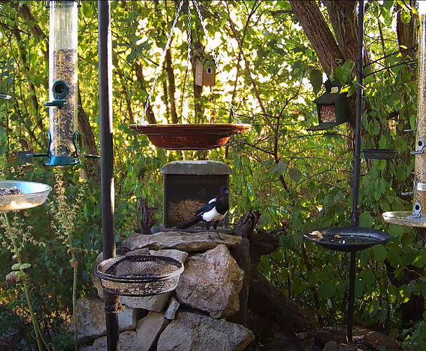 Snap_2022.08.04_19h14m04s_027_