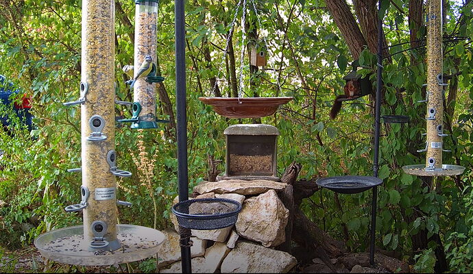 Snap_2022.08.17_13h25m38s_005_