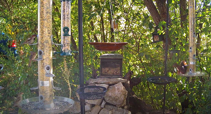 Snap_2022.08.10_17h17m43s_021_