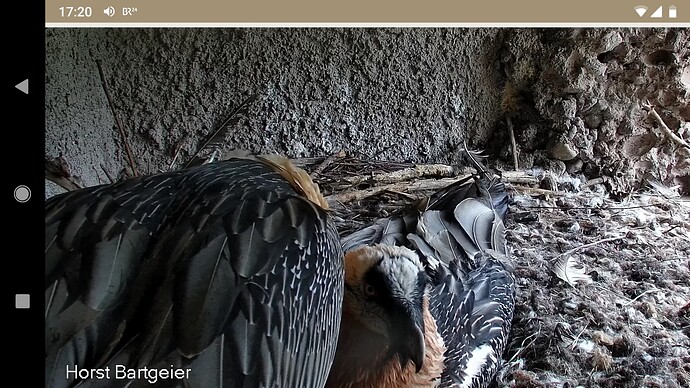 Screenshot_20220928-172046