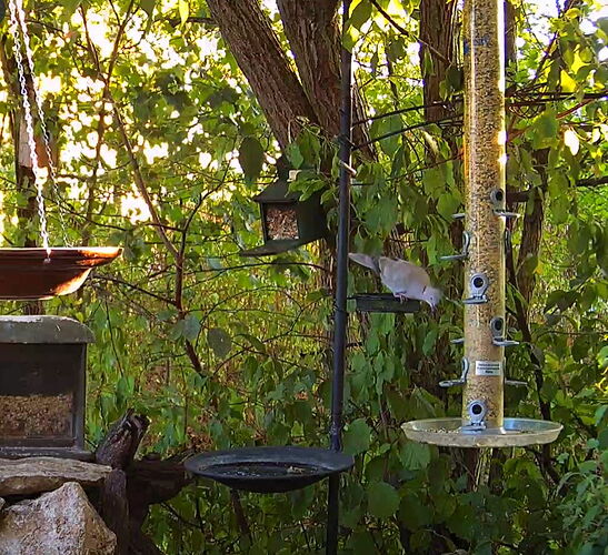 Snap_2022.08.16_19h28m52s_019_