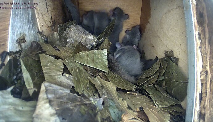 Screenshot_20220910-194027_Chrome