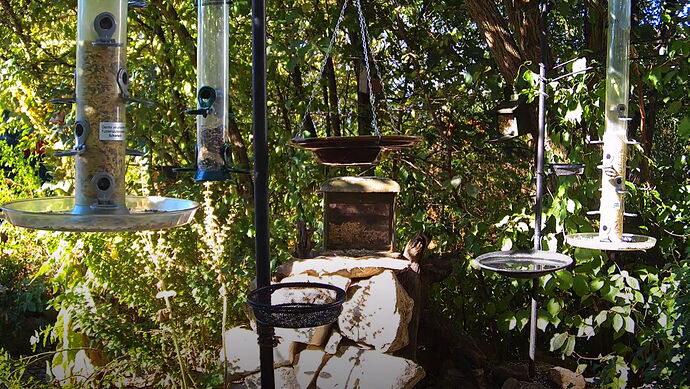 Snap_2022.08.08_09h16m27s_009_