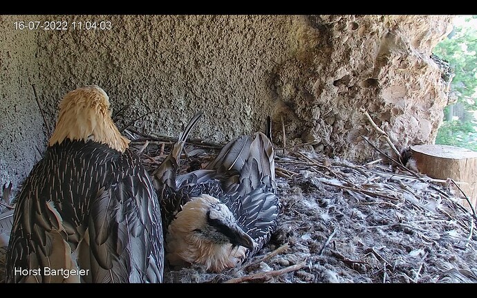 Bildschirmfoto 2022-07-16 um 11.04.44