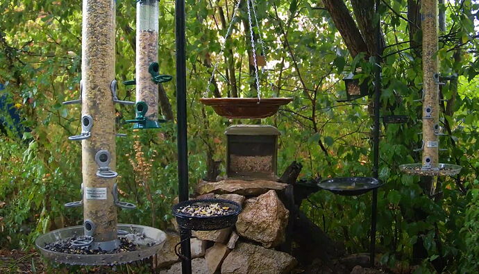 Snap_2022.08.19_19h01m51s_011_