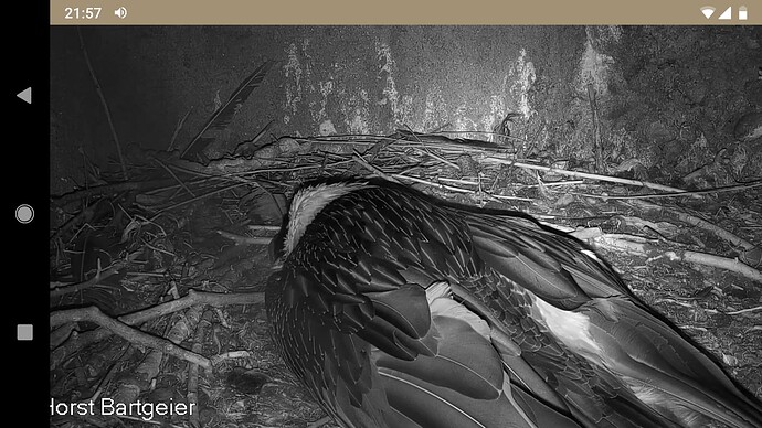 Screenshot_20221008-215755