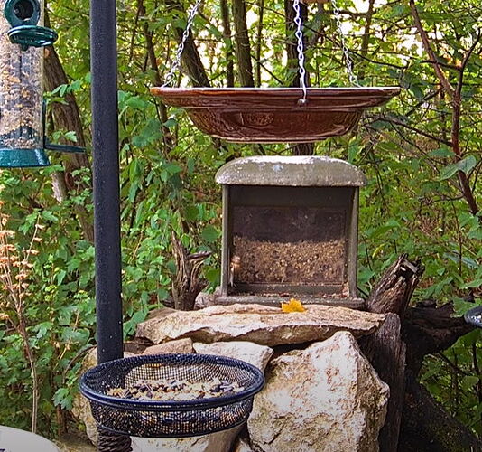 Snap_2022.08.21_08h39m55s_005_