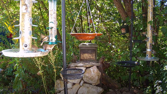 Snap_2022.08.03_12h20m26s_020_